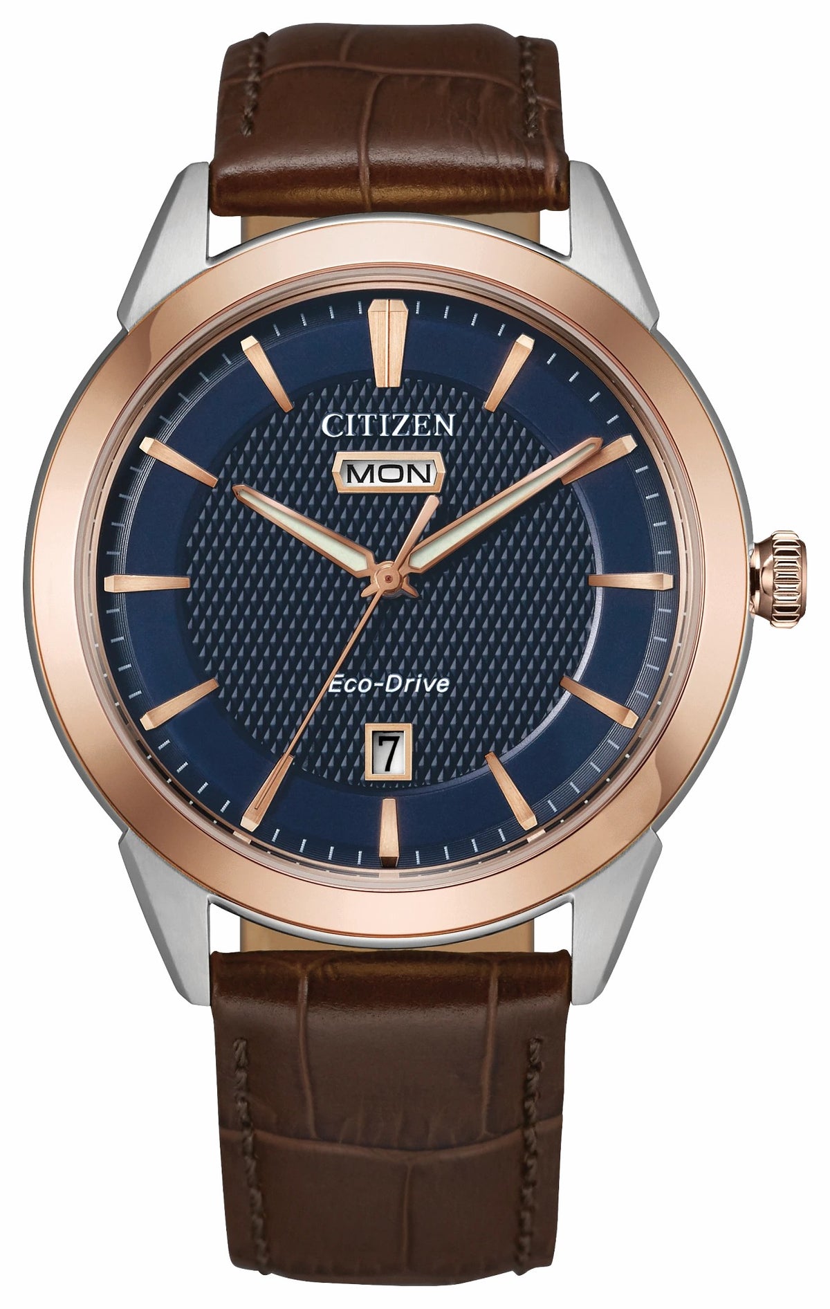 Rolan Navy Dial Leather Strap AW0096-06L - Citizen Popular