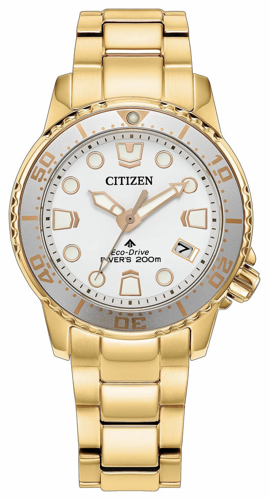 Promaster Dive White Dial Stainless Steel Bracelet EO2029-54A - Citizen Value