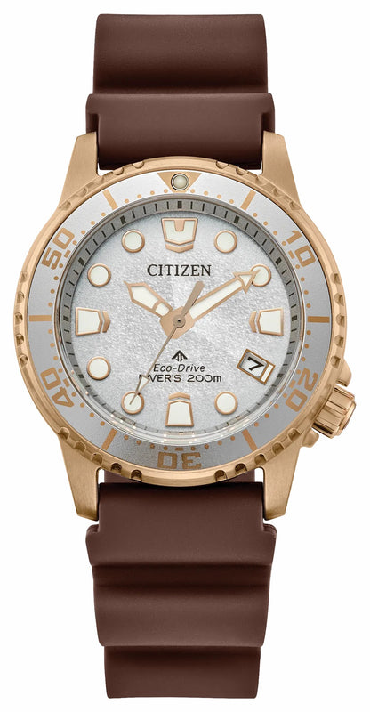 Promaster Dive Silver-Tone Dial Polyurethane Strap EO2022-02A - Citizen Exclusive