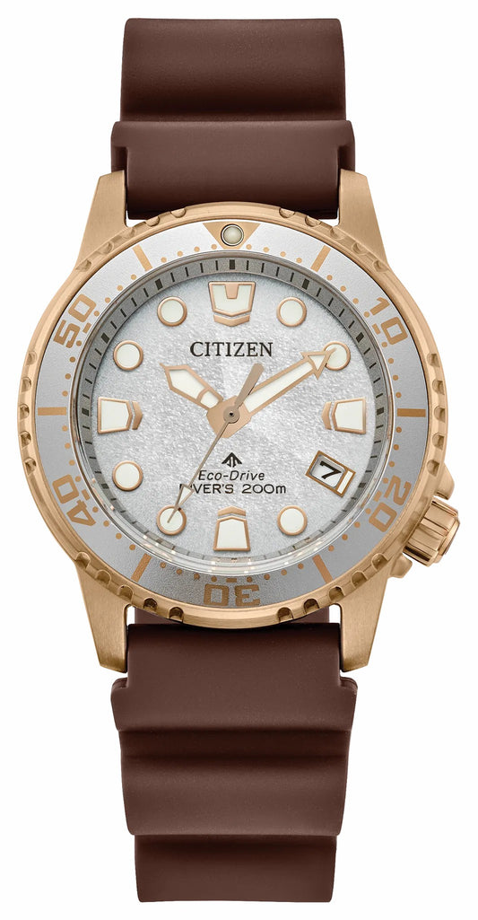 Promaster Dive Silver-Tone Dial Polyurethane Strap EO2022-02A - Citizen Exclusive