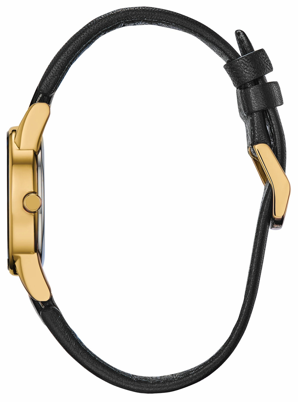 Citizen Axiom Ladies Eco-Drive Gold Black Dial Watch - Citizen Hot Sale